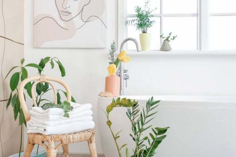 10 Bathroom Plants That Absorb Moisture and Freshen Up the Air