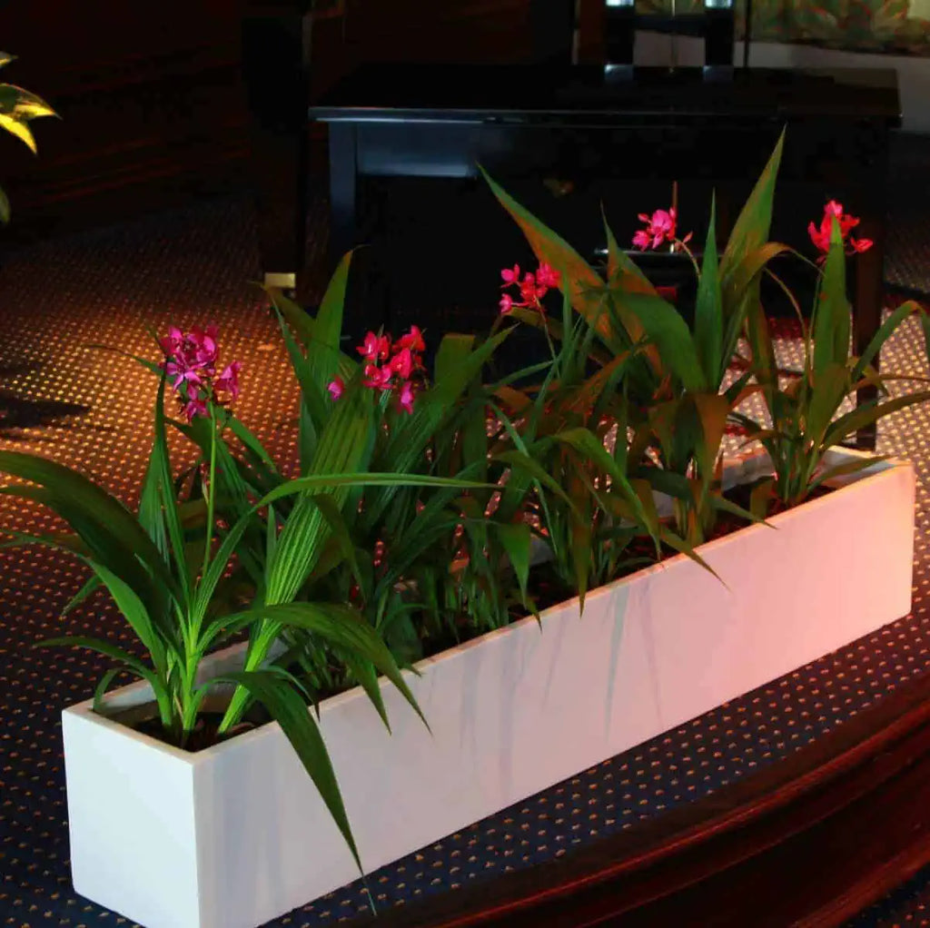 narrow planter indoor Monaco Narrow Rectangular Planter by Jay Scotts – Planters Etc