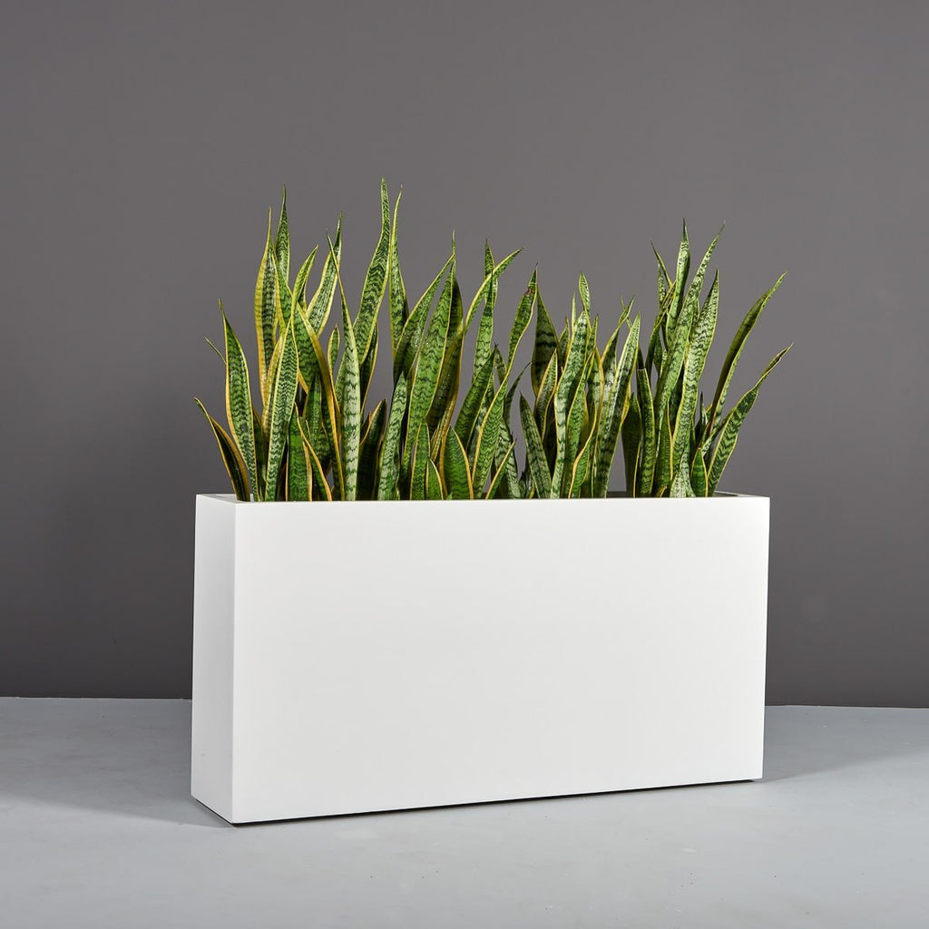 Buy the Hollywood Rectangular Planter by Jay Scotts – Planters Etc
