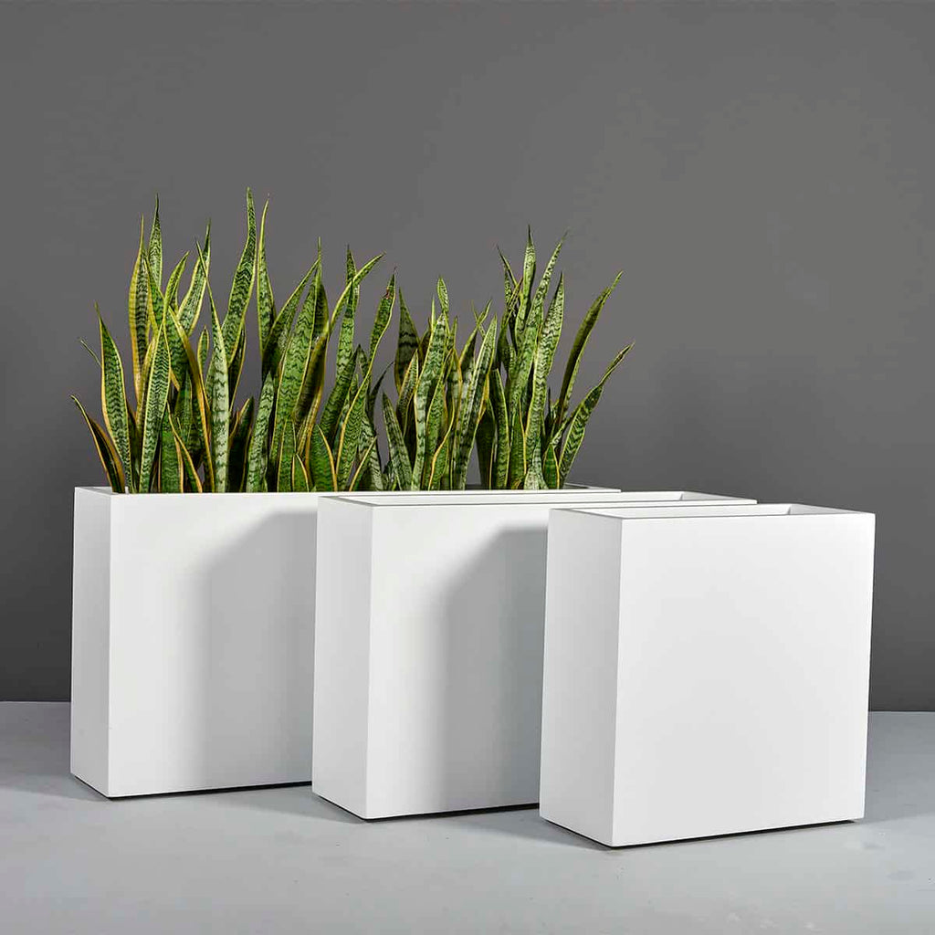 Buy the Milano Narrow Rectangular Planter by Jay Scotts – Planters Etc