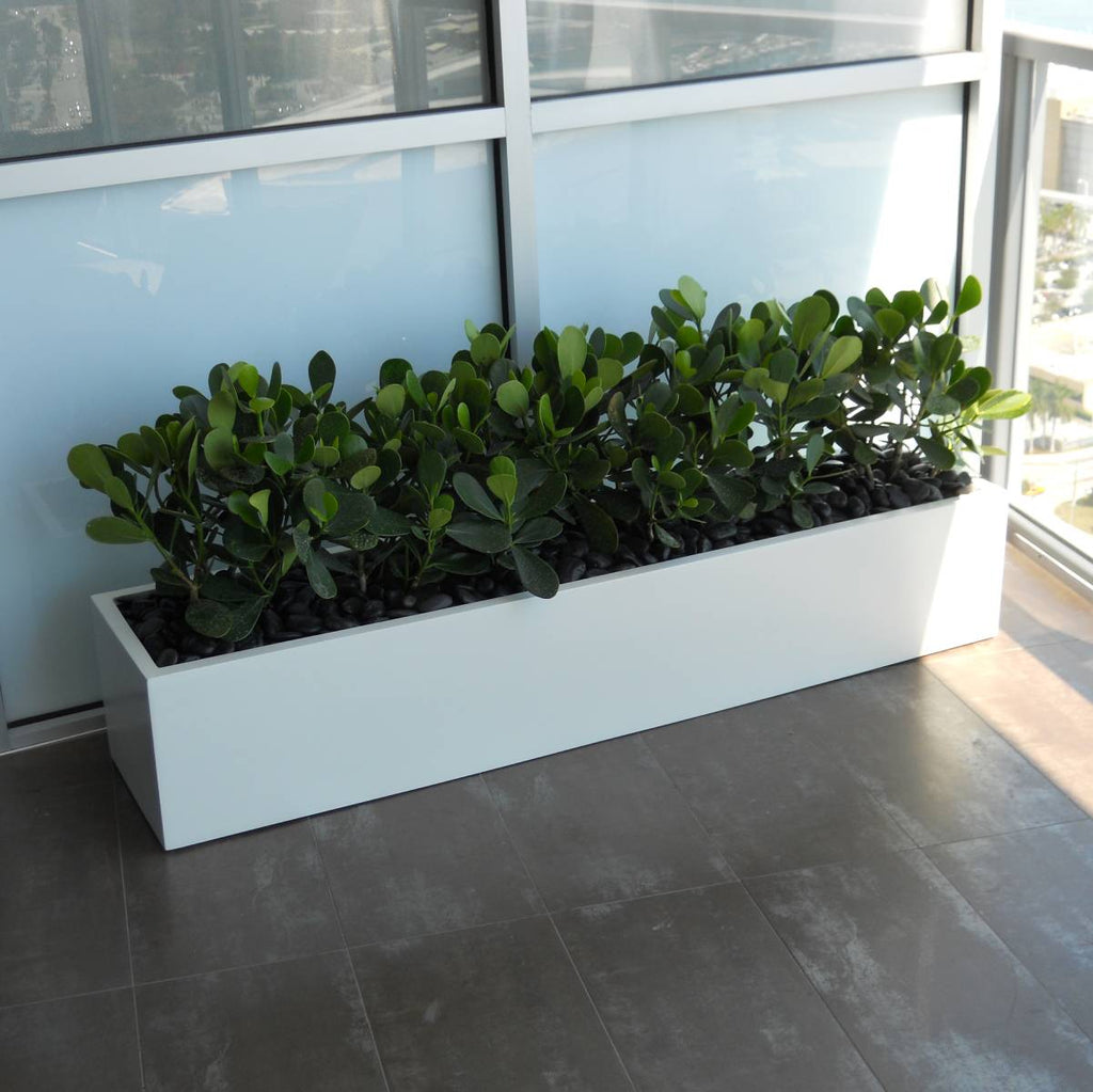 cubana pot planter Buy the Cuba Low Rectangular Planter by Jay Scotts – Planters Etc