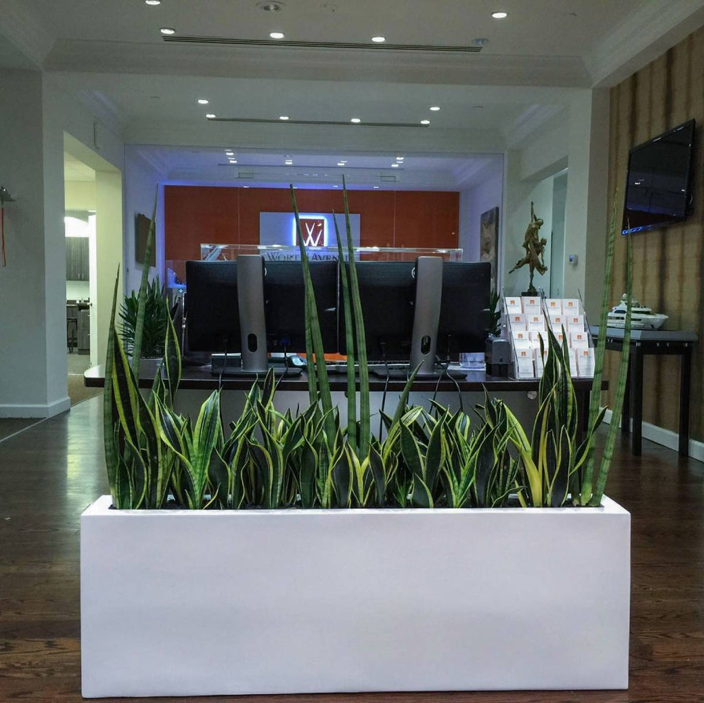 modern indoor planter box Buy the Camoux Narrow Rectangular Planter by Jay Scotts – Planters Etc