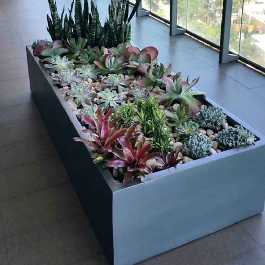 rectangular planter succulent Selenge Extra Wide Large Rectangle Planter by Jay Scotts – Planters Etc