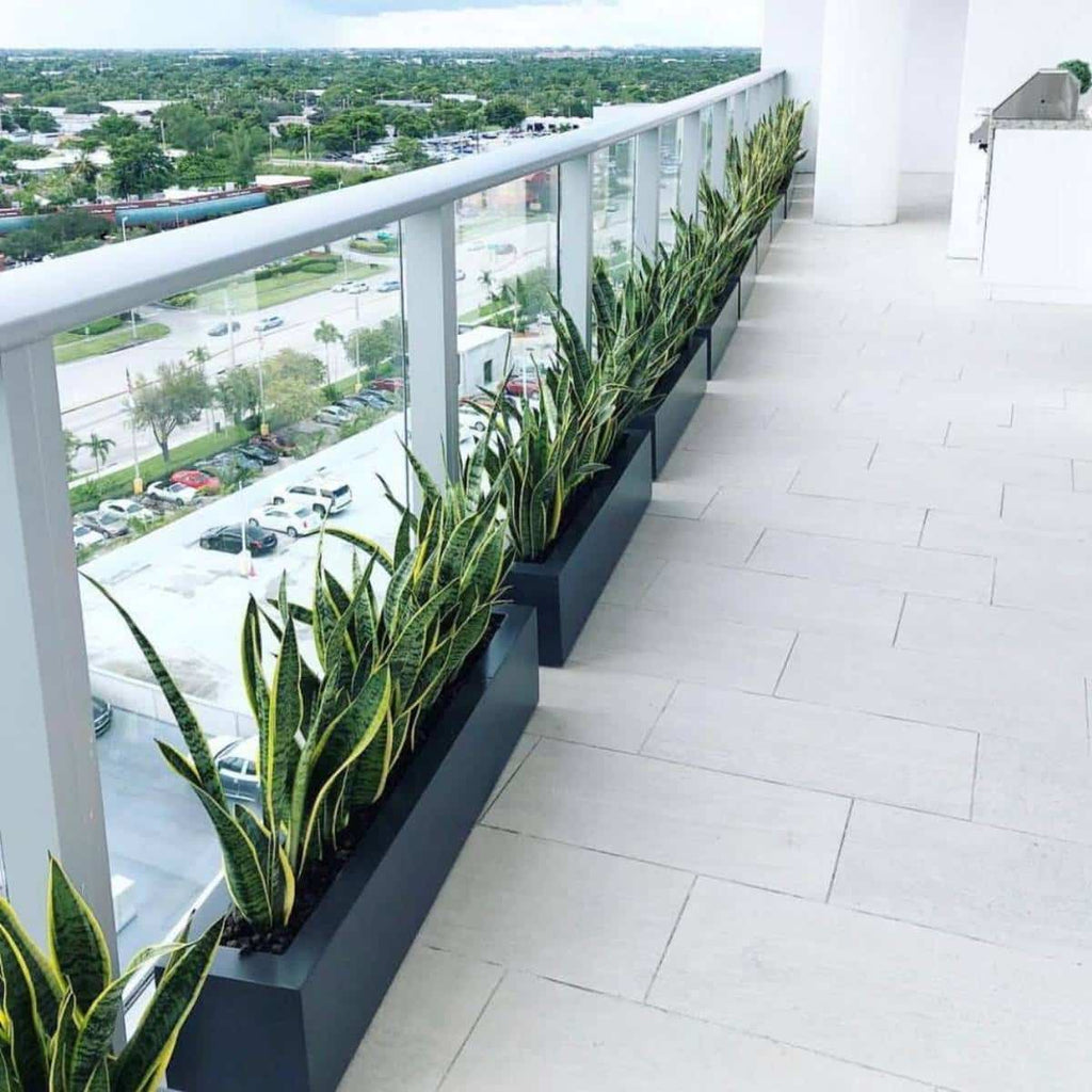 outdoor plants suitable for tall narrow pots Salon Narrow Low Rectangular Planter by Jay Scotts – Planters Etc
