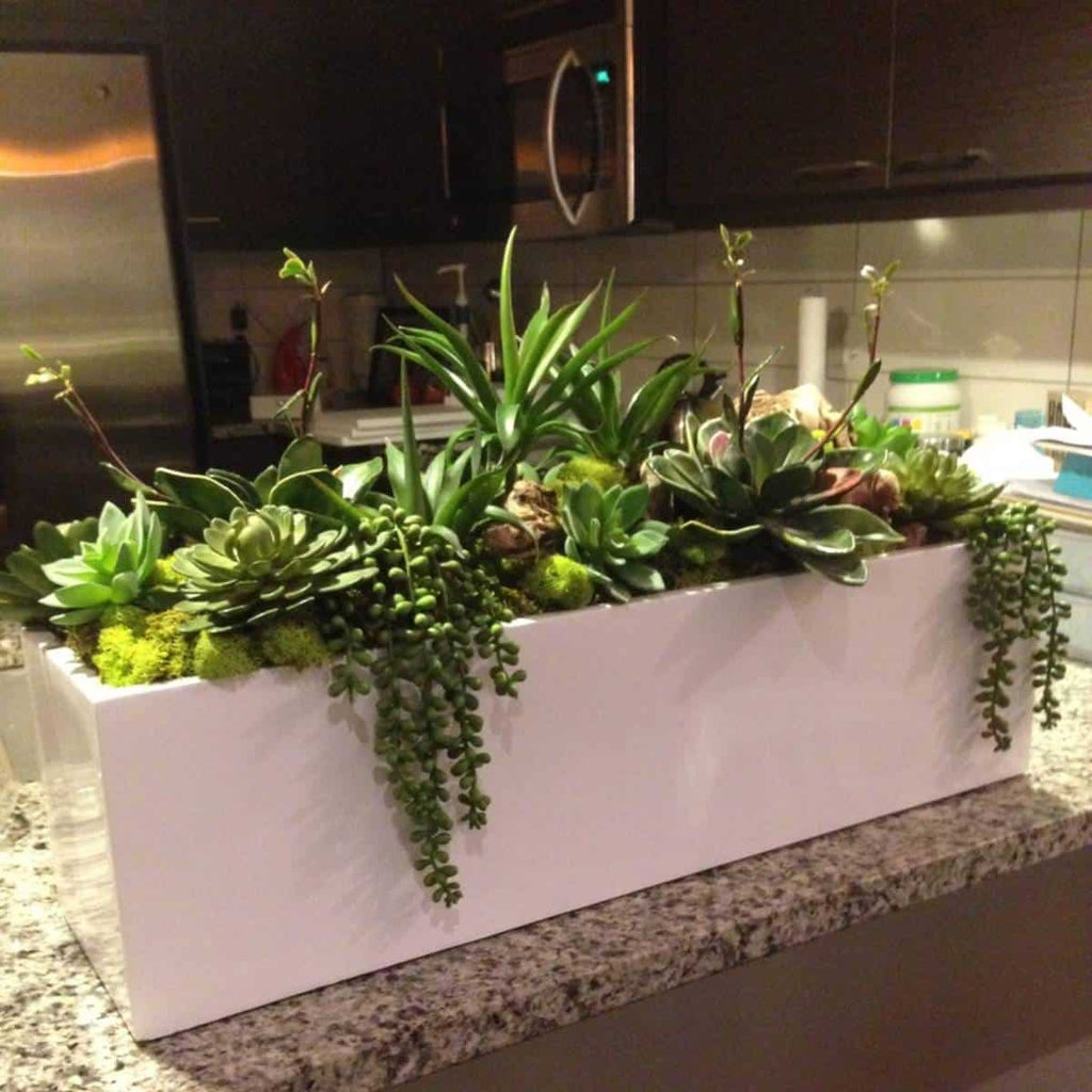 rectangular pots for indoor plants Monaco Rectangular Tabletop Planter by Jay Scotts – Planters Etc