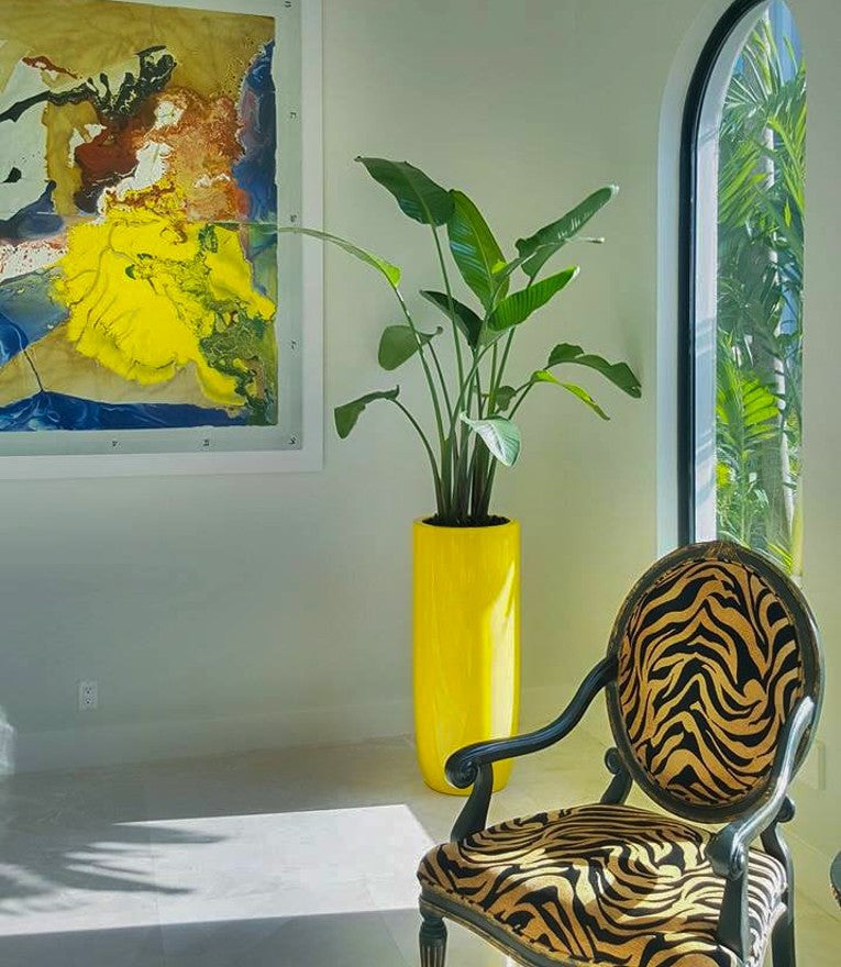 Collection page banner