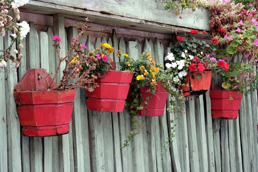 Red fence planters 