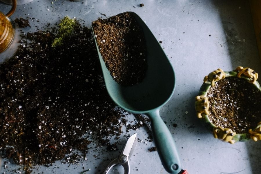 Gardening Scoop and soil