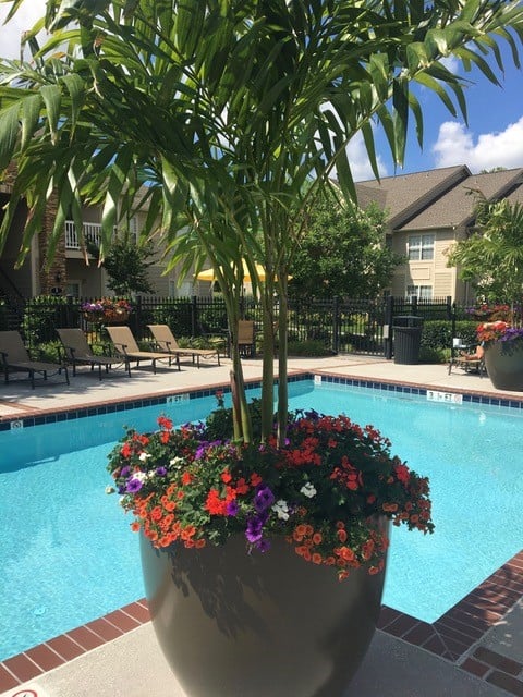 Planter in front of pool