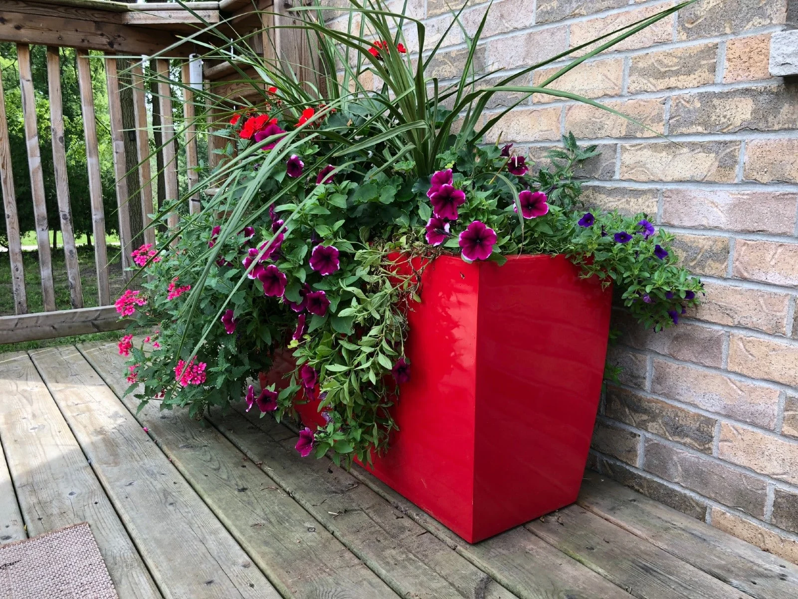 69715.GRD .Panama©2019 Greenville Planters 3