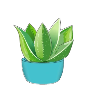 plantersetc 