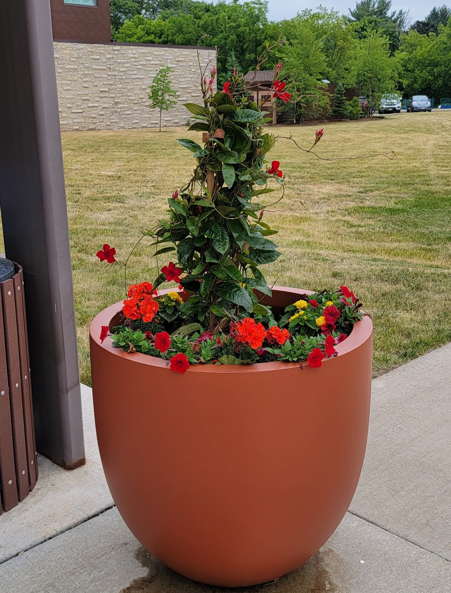 MTC Matte Terracotta e1731408996647