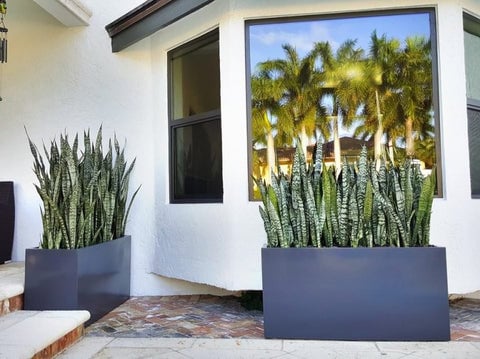 The 10 Best Feng Shui Plants For Home & Business | Enhance Your Health & Wealth 13 A stylish living room featuring several modern fiberglass planters.