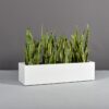 69025.48.MBW_.Cubawplants 69025.48.MBW .Cubawplants