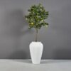 69155.20.MBW_.Bar_.Jar_.wplants-1 69155.20.MBW .Bar .Jar .wplants 1