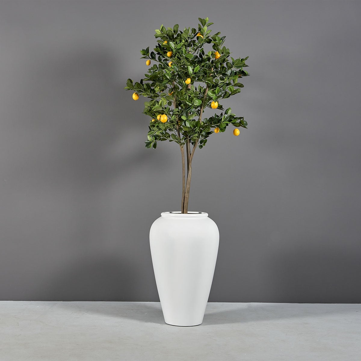 69155.20.MBW_.Bar_.Jar_.wplants-1 69155.20.MBW .Bar .Jar .wplants 1