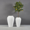 69155.Set_.MBW_.Bar_.Jar_.wplants 69155.Set .MBW .Bar .Jar .wplants