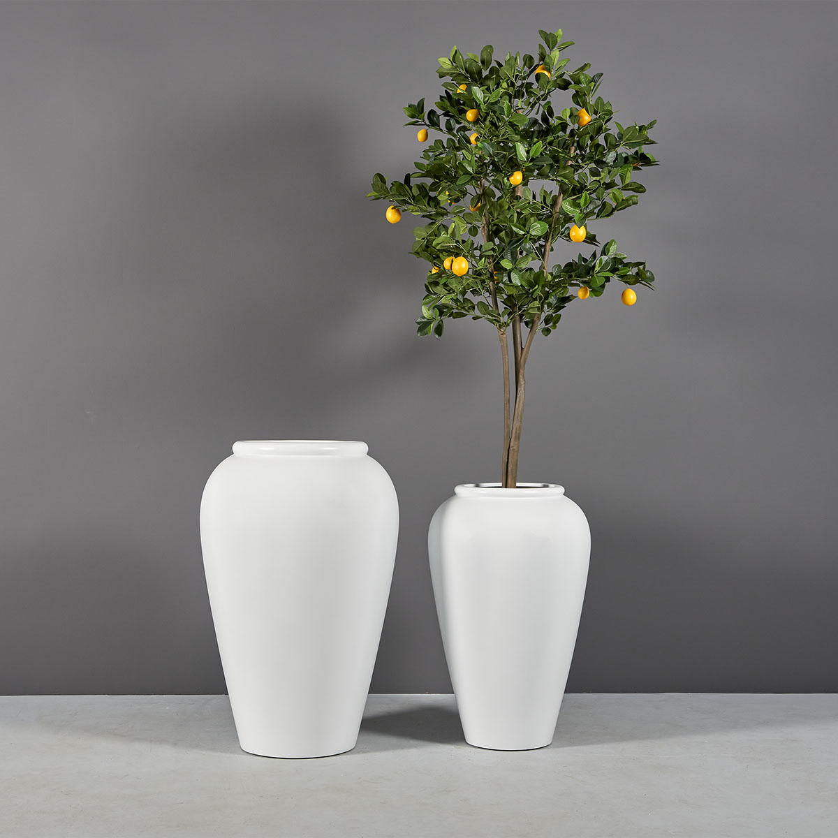69155.Set_.MBW_.Bar_.Jar_.wplants 69155.Set .MBW .Bar .Jar .wplants