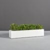 69210.MBW_.Salon_.Angle2_.wplants 69210.MBW .Salon .Angle2 .wplants