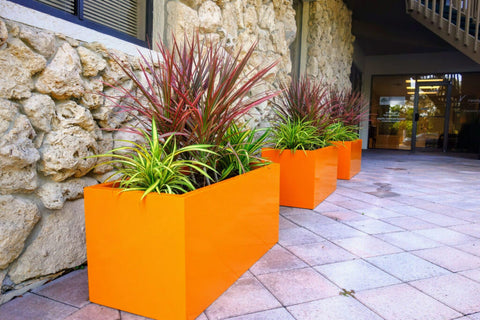Guide to Filling Large Planters: Best Practices, Drainage, and Maintenance 4 Transplanting plants into large planters