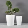 69225.Set_.MBW_.Pego_.Front1_.wplants 69225.Set .MBW .Pego .Front1 .wplants