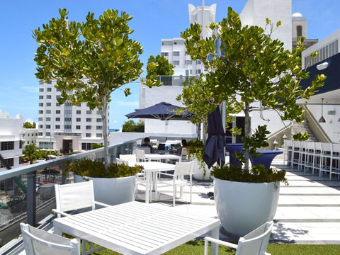 Reimagining Your Home: Tall Planters Outdoor Design Magic 2 69230.MWH .Wannsee install JayScotts GaleSB edited