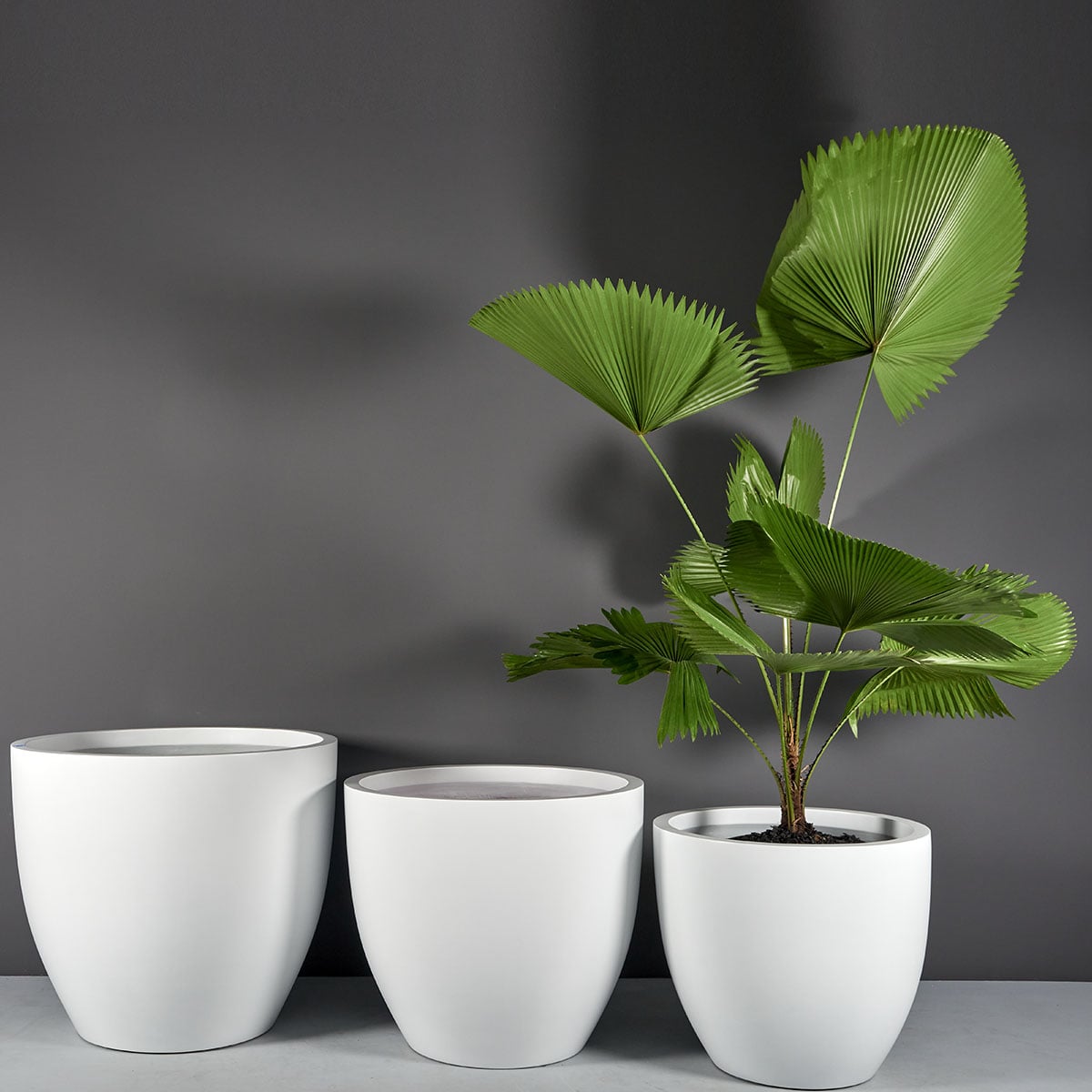 69230.Set_.MBW_.Wannsee1.wplants 69230.Set .MBW .Wannsee1.wplants