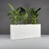 69345.72.MBW_.Potsdam.wplants 69345.72.MBW .Potsdam.wplants