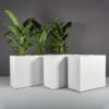 69345.Set_.MBW_.Potsdam.wplants 69345.Set .MBW .Potsdam.wplants