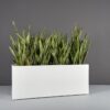 69367.60.MBW_.Tolga_.wplants 69367.60.MBW .Tolga .wplants