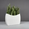 69370.48.MBW_.Seoul_.wplants 69370.48.MBW .Seoul .wplants