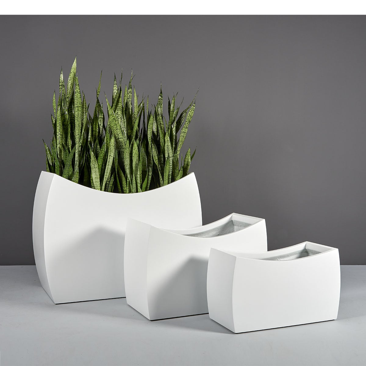 69370.MBW_.Set_.Seoul_.wplants 69370.MBW .Set .Seoul .wplants