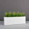 69400.60.MBW_.Miami_.wplants 69400.60.MBW .Miami .wplants