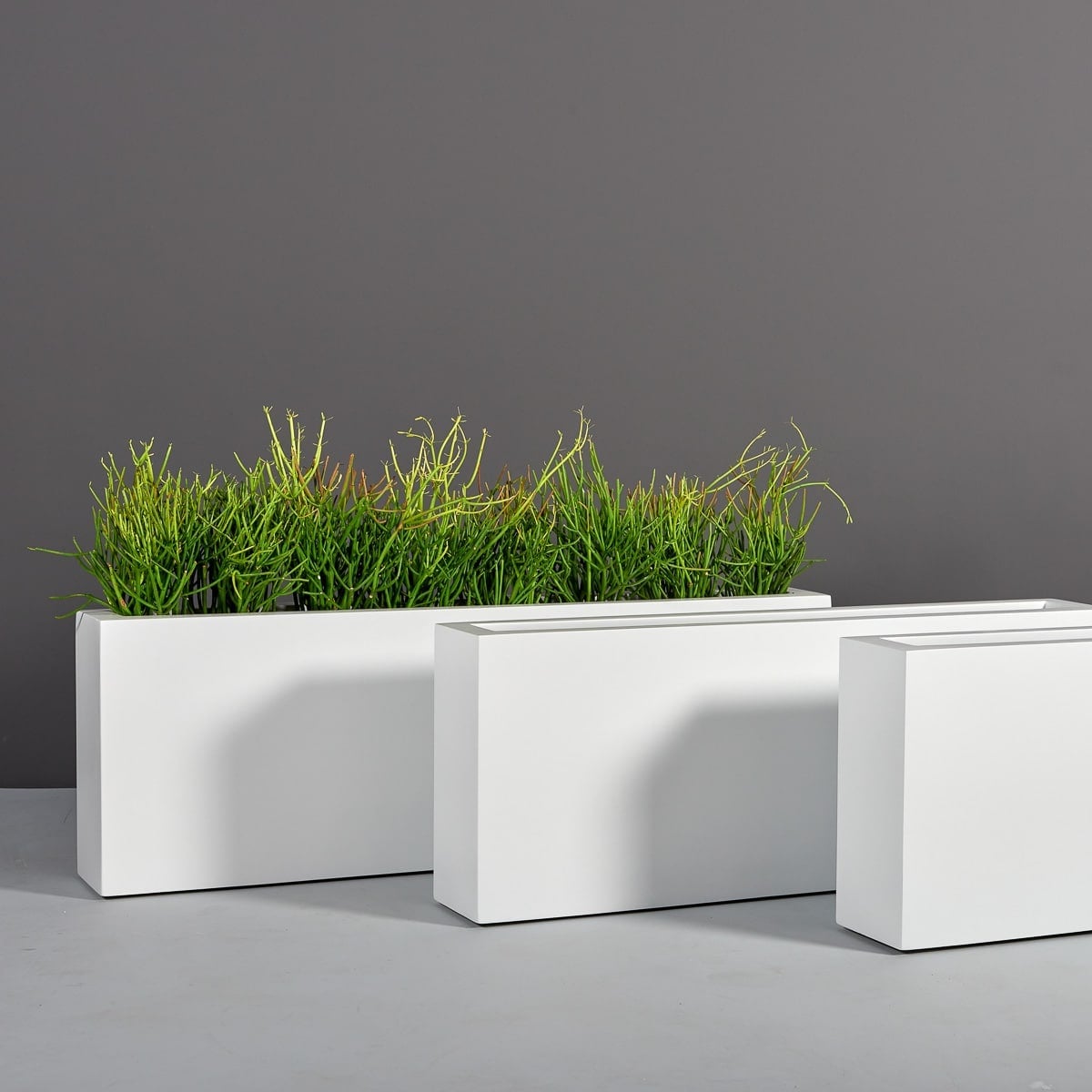 69400.Set_.MBW_.Miami_.wplants 69400.Set .MBW .Miami .wplants