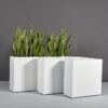 69405.Set_.MBW_.Hollywood.wplants 69405.Set .MBW .Hollywood.wplants