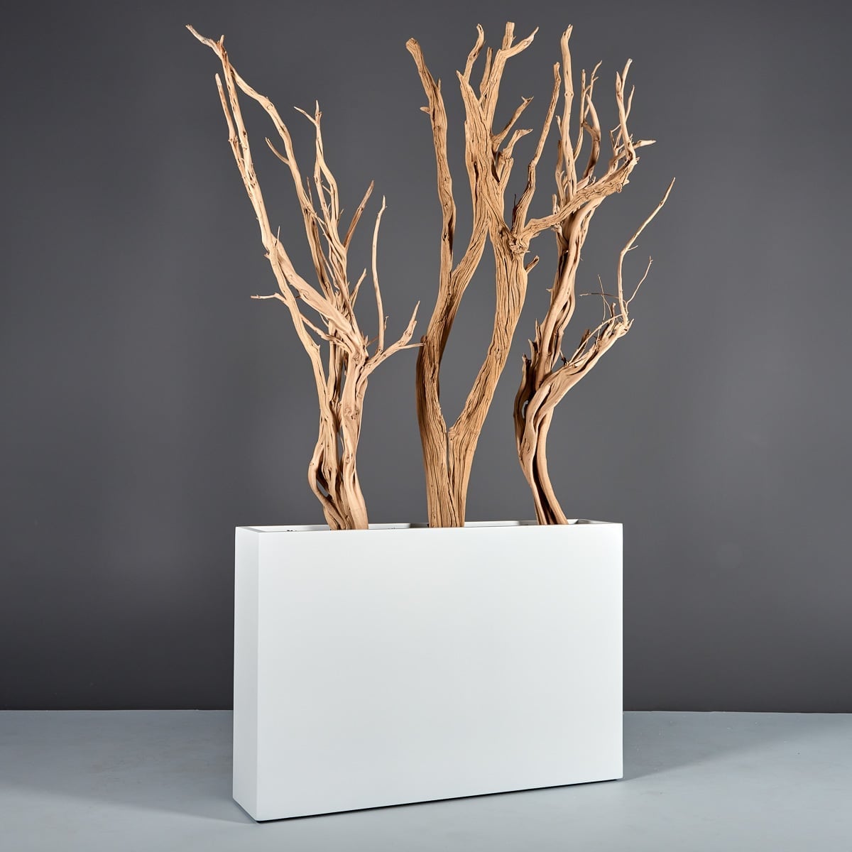 69410.48.MBW_.Delray.wdriftwood 69410.48.MBW .Delray.wdriftwood