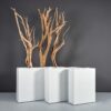 69410.Set_.MBW_.Delray.wdriftwood1 69410.Set .MBW .Delray.wdriftwood1