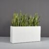 69419.48.MBW_.Milano1.wplants 69419.48.MBW .Milano1.wplants