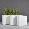 69419.Set_.MBW_.Milano1.wplants 69419.Set .MBW .Milano1.wplants