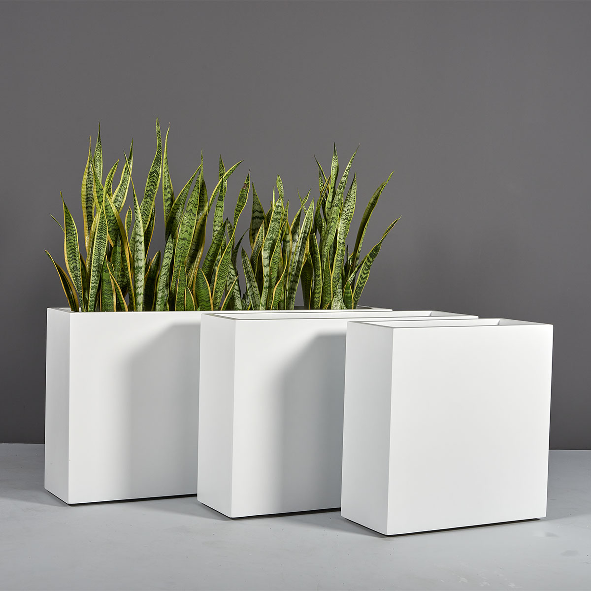 69419.Set_.MBW_.Milano1.wplants 69419.Set .MBW .Milano1.wplants