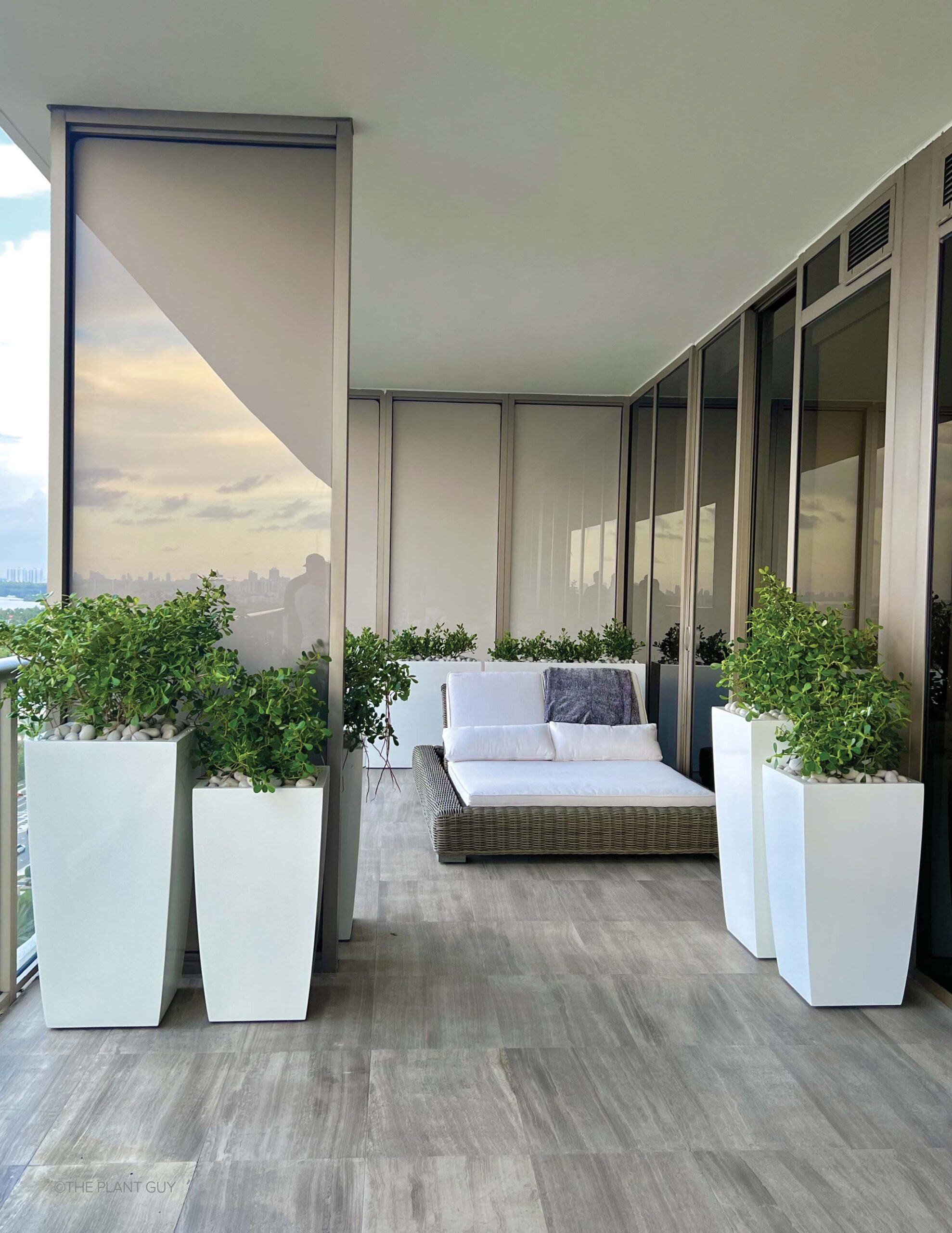 Tall plants in Toulan planters