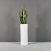 69607.36.MBW_.Corry_.Cylinder.wplants1-1 69607.36.MBW .Corry .Cylinder.wplants1 1
