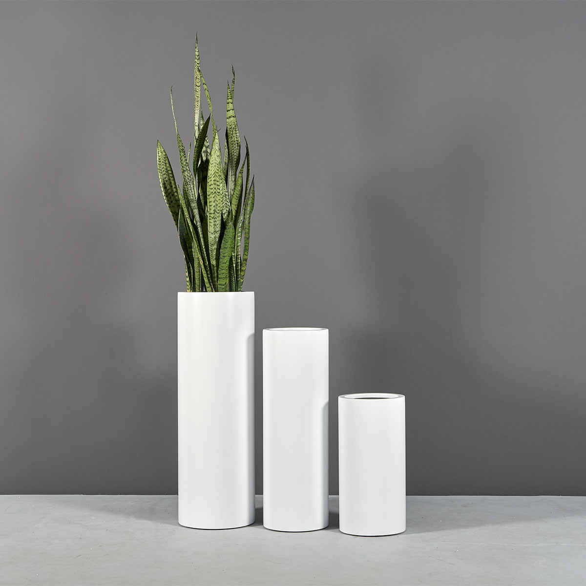 69607.Set_.MBW_.Corry_.Cylinders.wplants1 69607.Set .MBW .Corry .Cylinders.wplants1