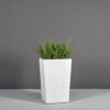 69615.30.MBW_.Amsterdam.wplants 69615.30.MBW .Amsterdam.wplants