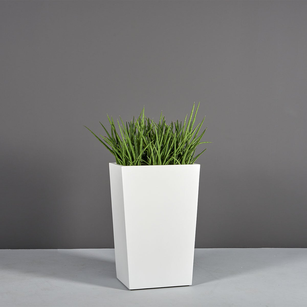 69615.30.MBW_.Amsterdam.wplants 69615.30.MBW .Amsterdam.wplants