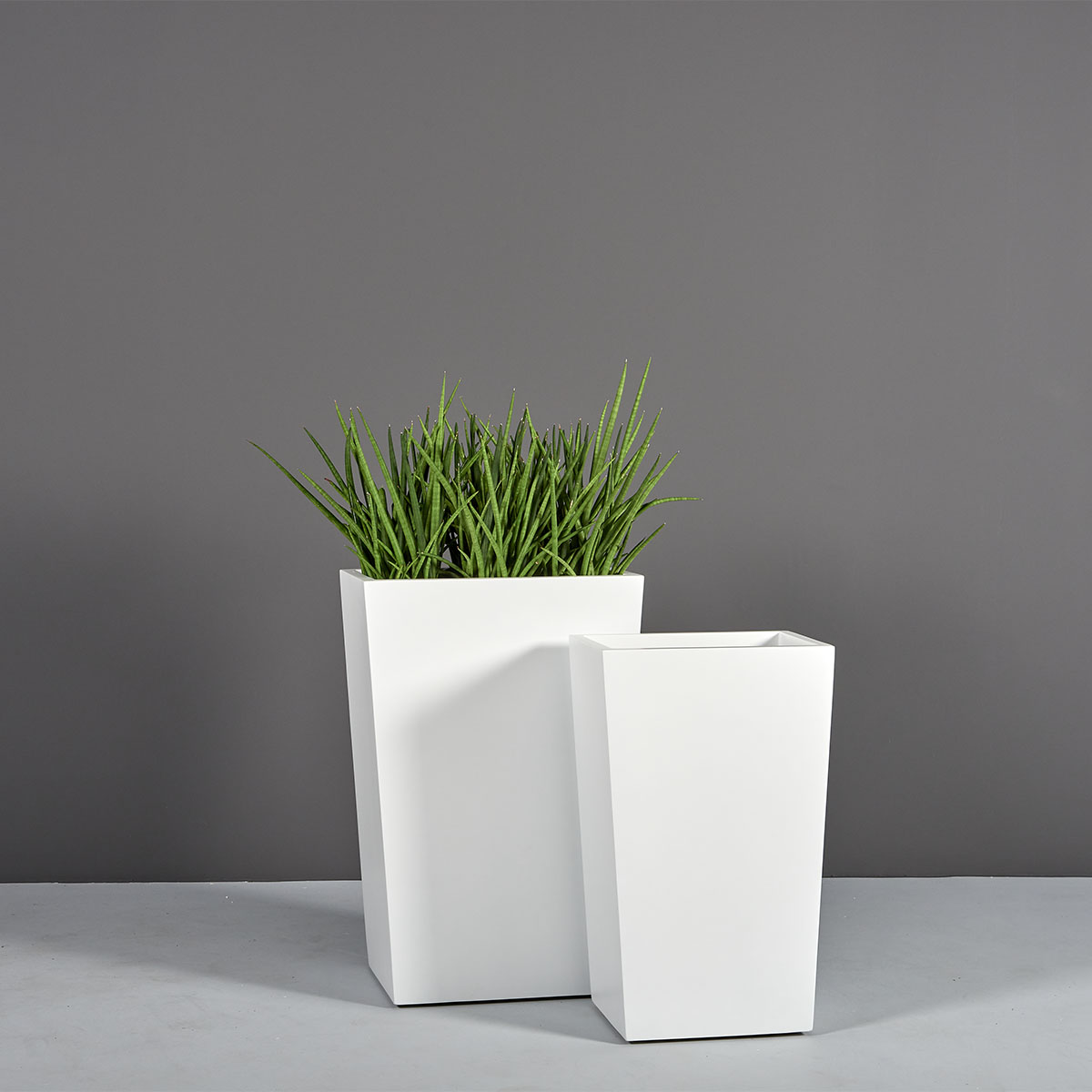 69615.MBW_.Set_.Amsterdam.wplants 69615.MBW .Set .Amsterdam.wplants