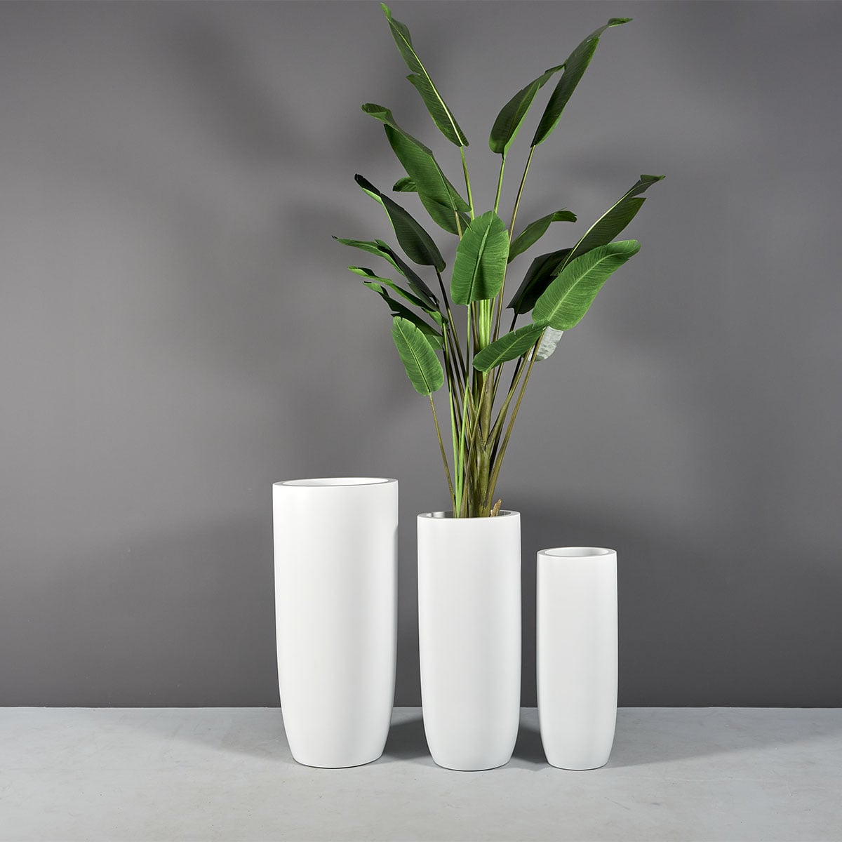 69626.Set .MBW .St .Tropez1.wplants
