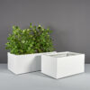 70125.Set .MBW .Torino1.wplants