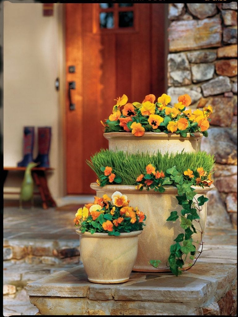 Autumn arrangement with flowers and plants