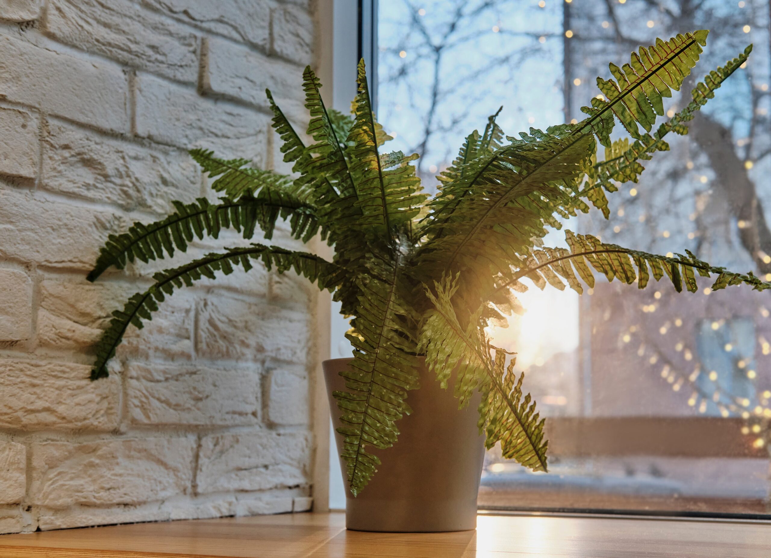 Fiberglass Planters for Nursing Homes: Interior Design Ideas & Mental Health Benefits 4 Boston FERN scaled